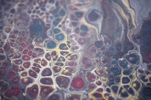 An Abstract Painting in Close-up Photography