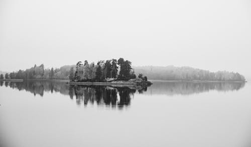 Grayscale Photo of Trees Near Lake