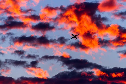Free Airplane Flying in the Sky during Dusk  Stock Photo