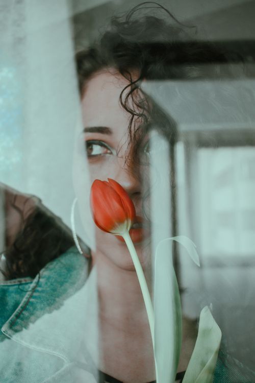 Free Through glass view of charming female with curly hair and bright red tulip Stock Photo