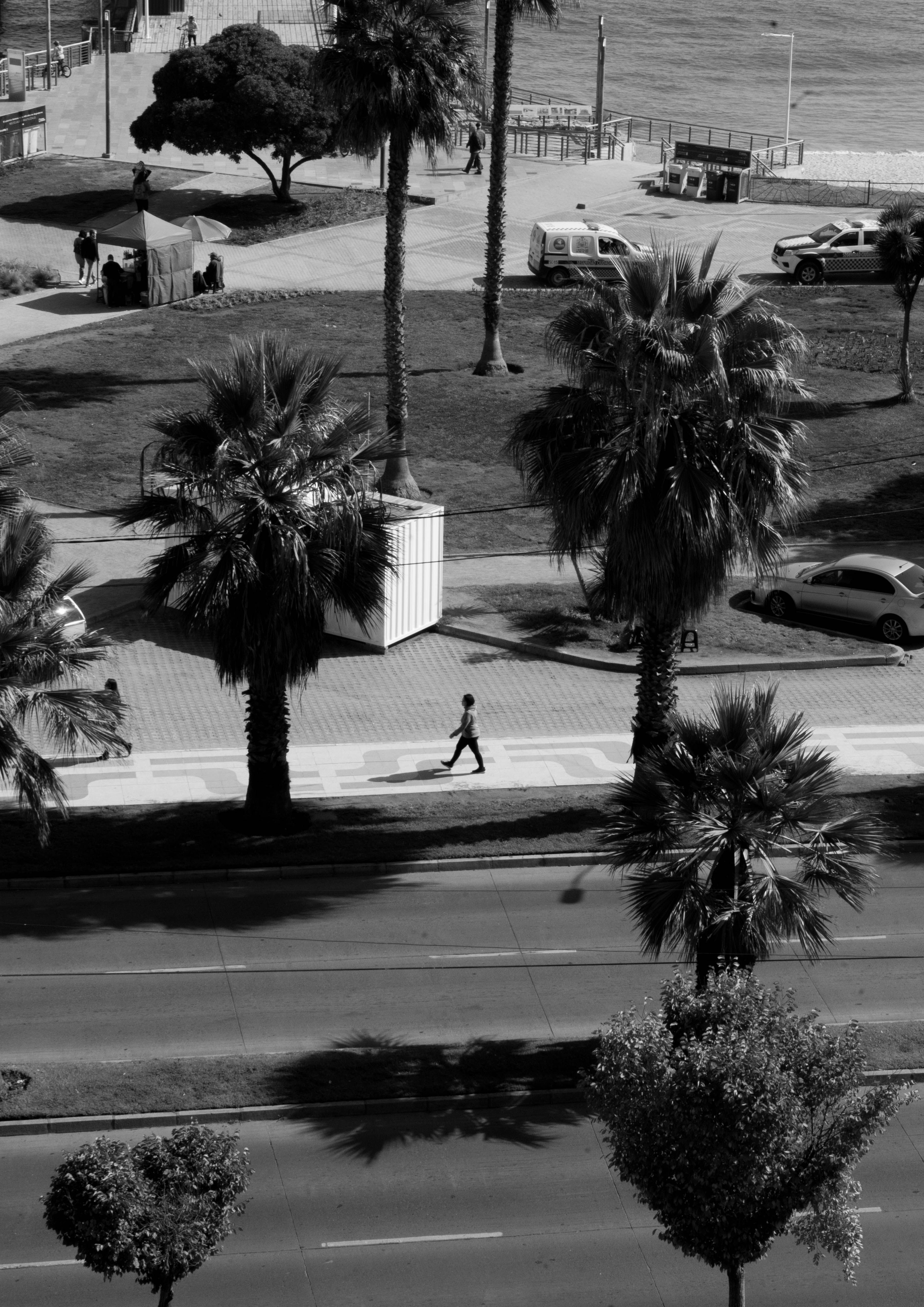Grayscale Photo of a Person Walking on the Sidewalk with Street Lights ...