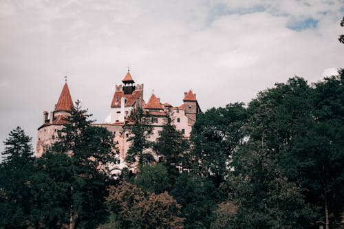 Bran Castle behind Trees