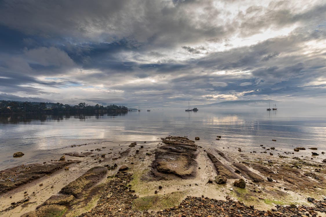 A Scenic Shot of a Beach