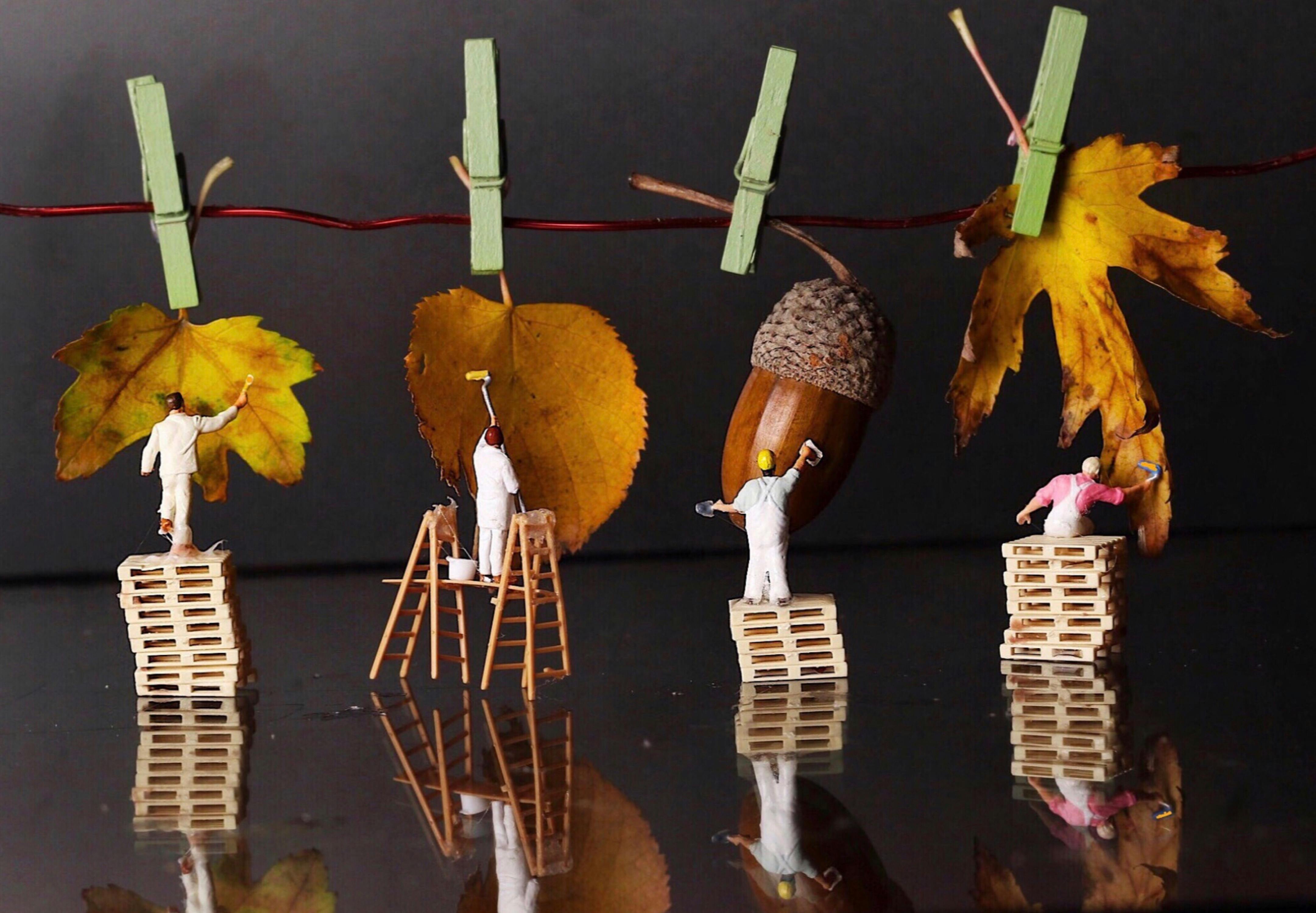 7 Best Hobby Lobby Fall Craft Finds Flying Off Shelves Right Now — Photo by Steffi Wacker on Pexels
