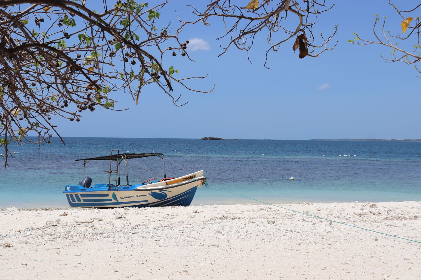 Kalpitiya: Sri Lanka's Best-Kept Secret for Dolphins, Kitesurfing, and Untouched Beaches