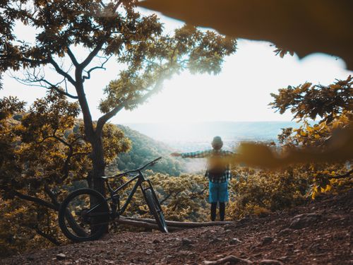 Free A person stands with arms outstretched beside a mountain bike, enjoying the view in an autumn forest. Stock Photo