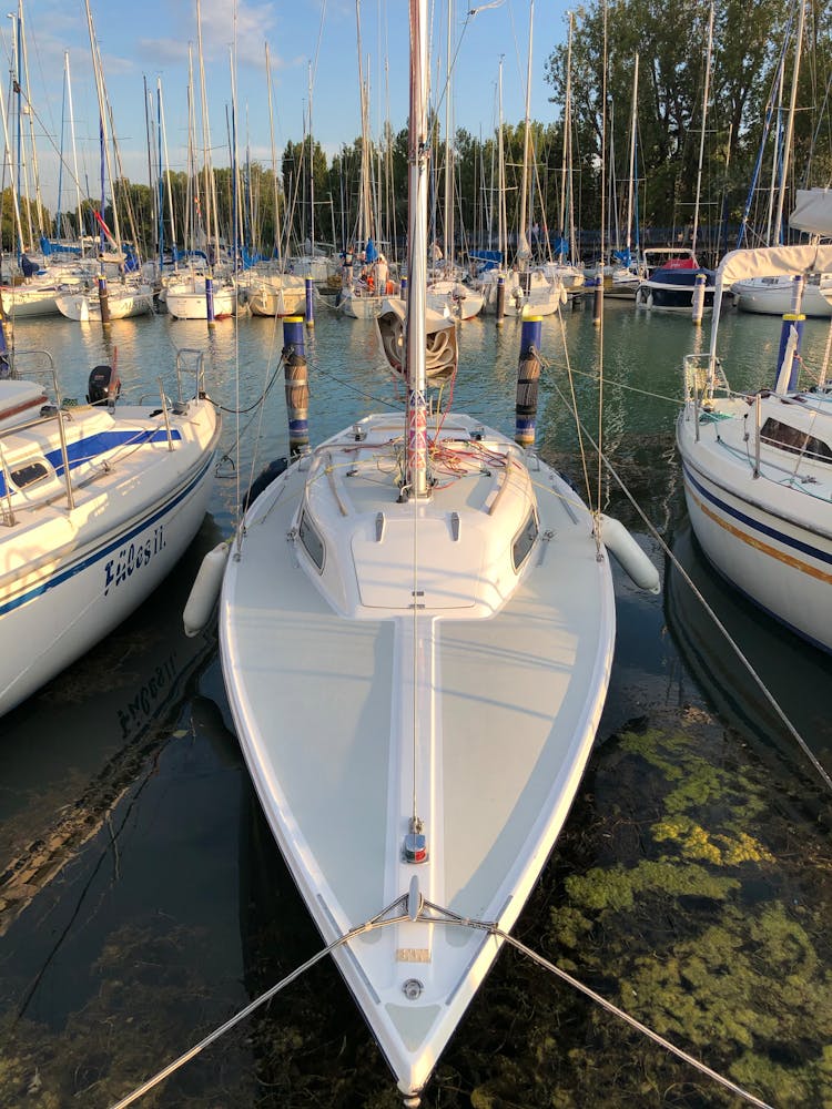 White Speedboats On A Harbour