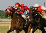 2 Men Riding on Brown Horse