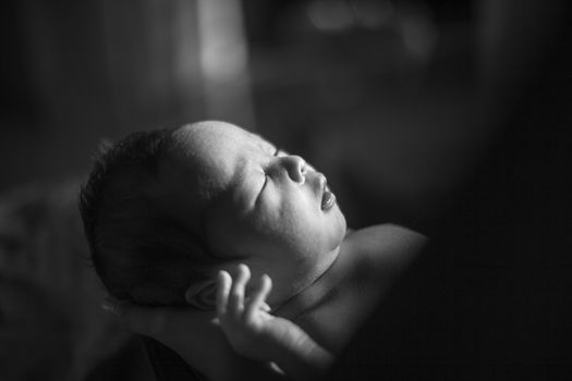 一张黑白特写捕捉了安详新生婴儿的温柔与纯真