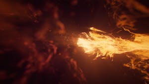 Fire in the Middle of Forest