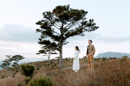 Full body of groom and bride standing on dry grass near high tree in wedding day