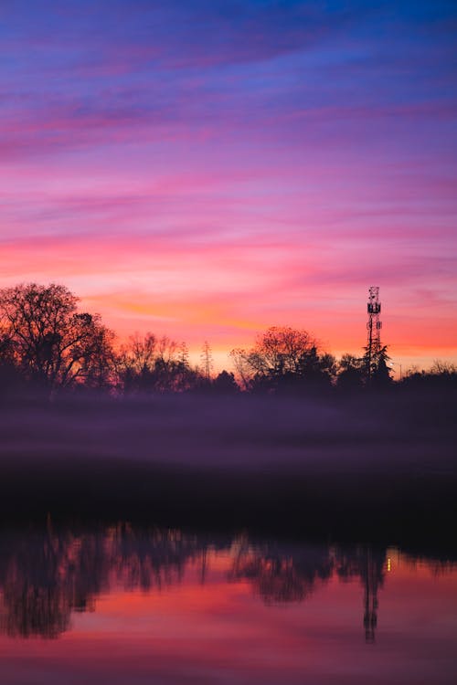 Silhouette of Trees during Sunset