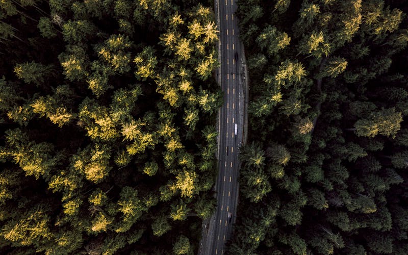 South Cambie Vancouver