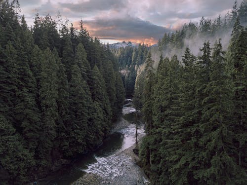 Kostenloses Stock Foto zu britisch-kolumbien, fluss, kanada