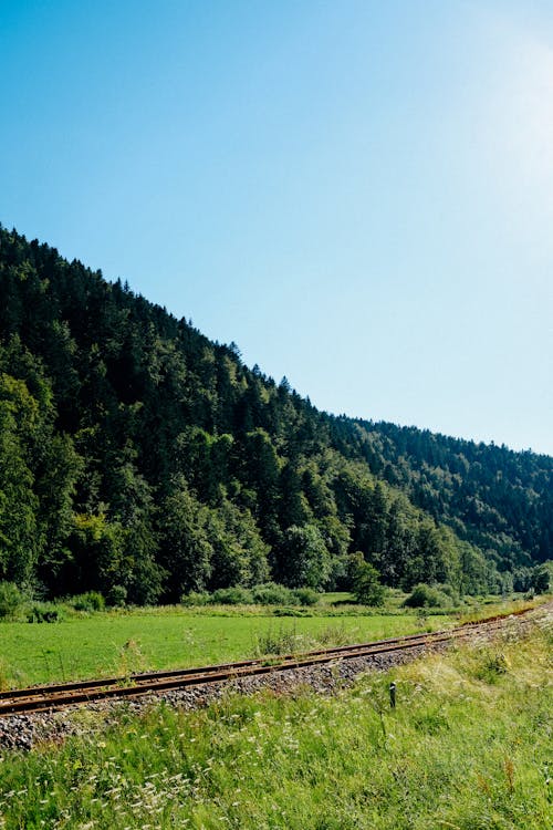 Scenery of rural railway running on grassy valley in abundant hilly terrain under blue sky on sunny day