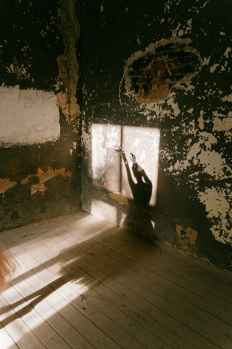 Shadow Of A Person Dancing 