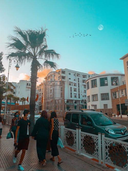 Free stock photo of beautiful sky, beautiful street, bird