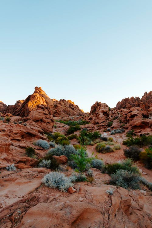 From below of dry rocky terrain with green vegetation under clean blue sky in daylight