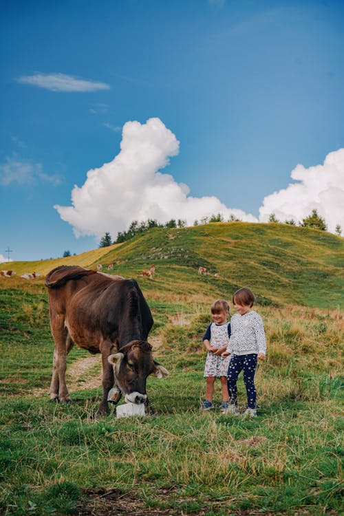 Kids Standing Beside a Cattle