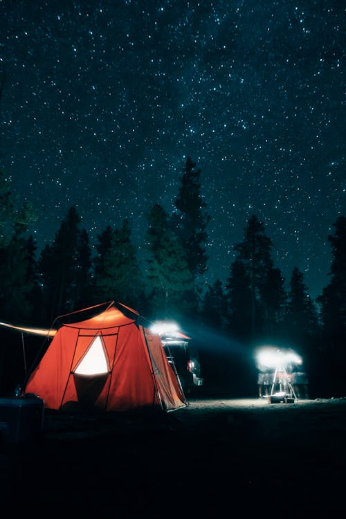 A Tent Near Green Trees Under Starry Night Sky