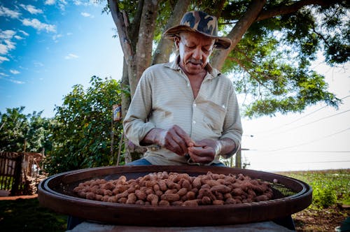 Free A Man Wearing Camouflage Hat while Peeling Nuts Stock Photo