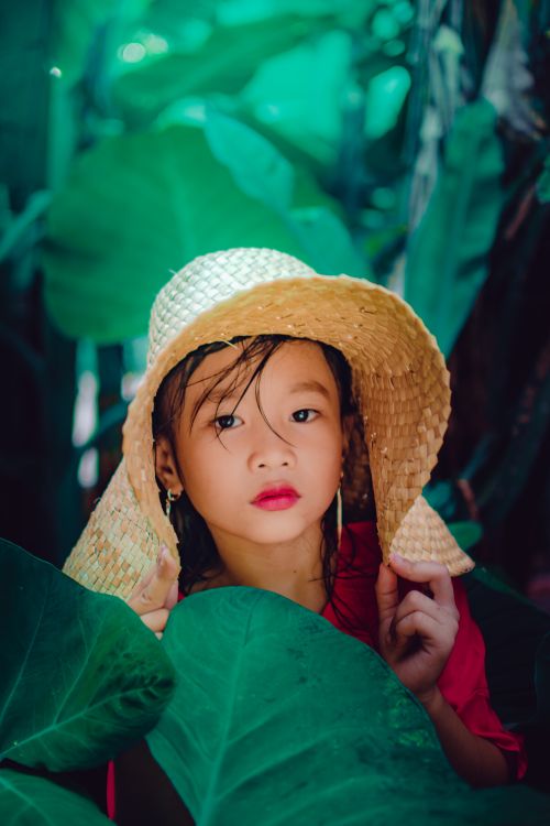 Free A young child wearing a straw hat, surrounded by lush green leaves outdoors. Stock Photo