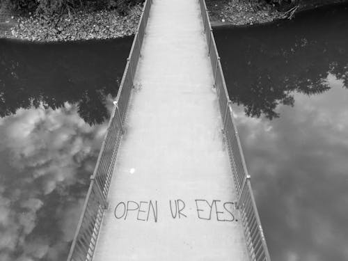 Základová fotografie zdarma na téma černobílý, jednobarevný, most