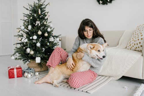 Mujer En Camisa De Manga Larga Gris Sentada En Un Sofá Blanco Junto A Un Perro Marrón