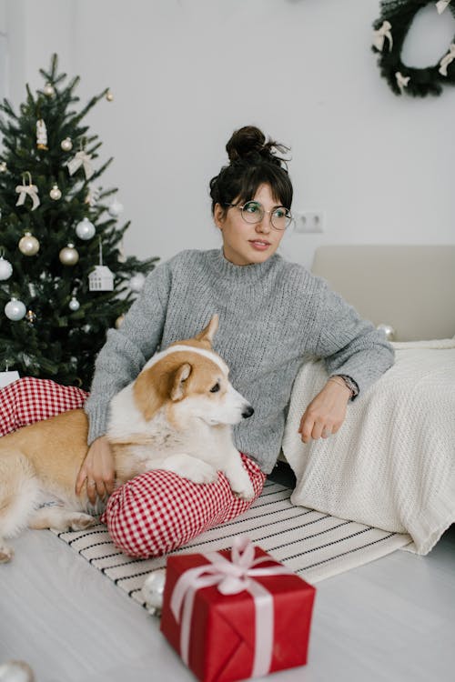 茶色と白の犬を保持している灰色のセーターの女性