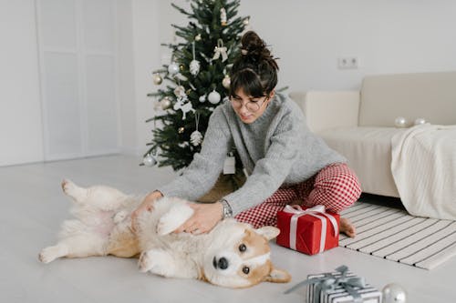 женщина в сером свитере сидит на диване рядом с бело коричневой собакой