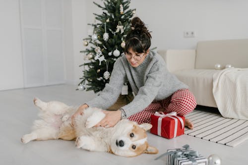 Woman Playing With Her Pet Corgi