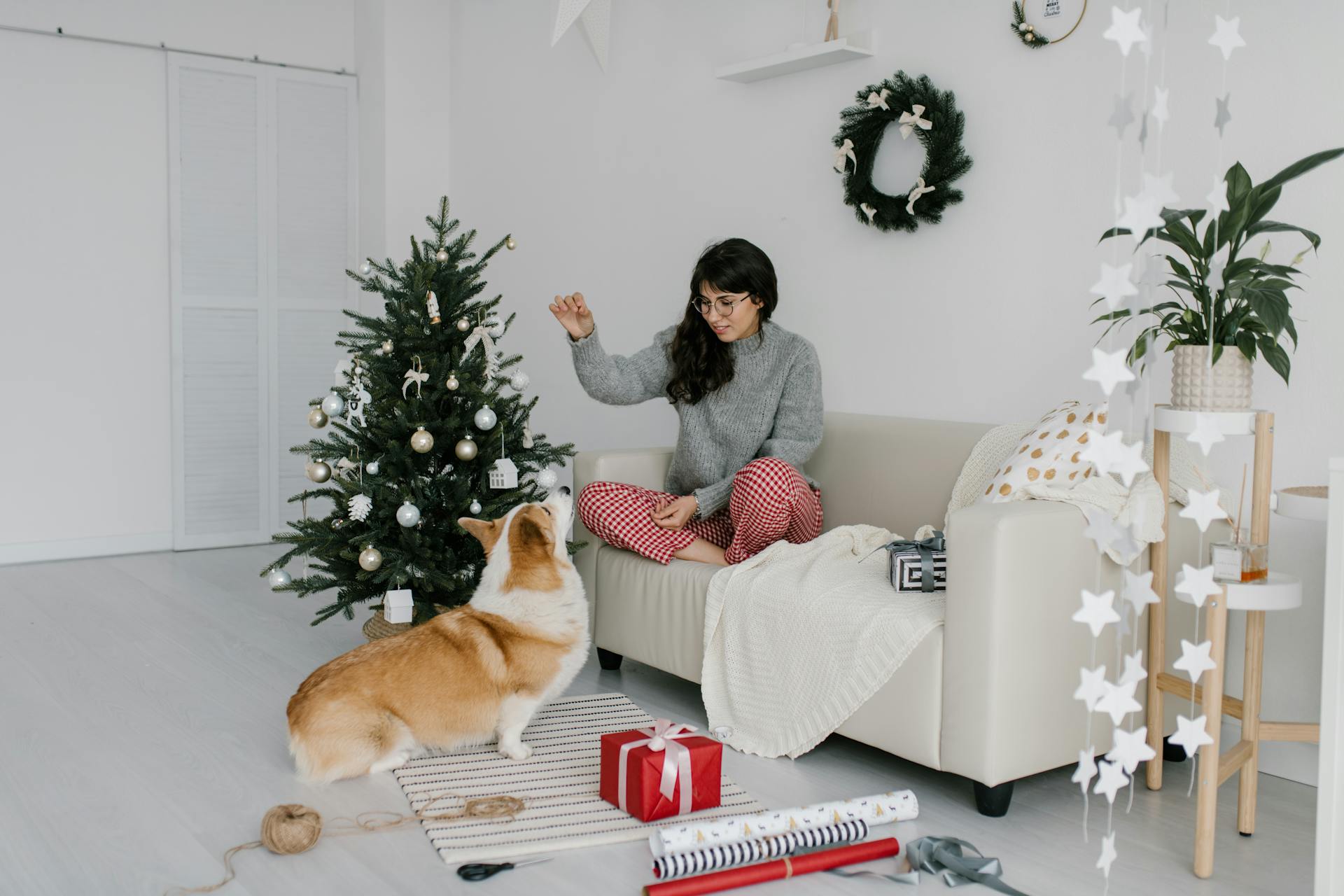 Femme en pull gris jouant avec son chien Corgi