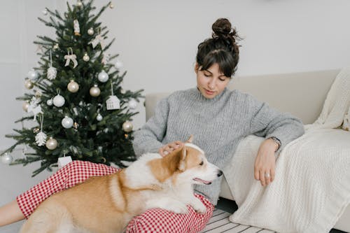 Женщина в сером свитере держит коричневую и белую собаку