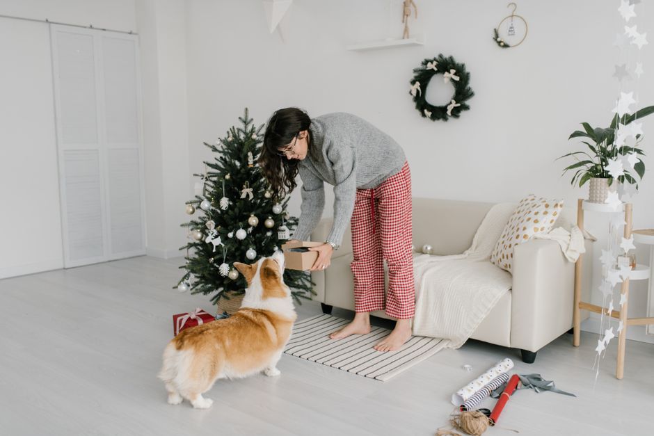コージーなセーターを着た女性がペットのコーギーと一緒にクリスマスツリーを飾り、家での楽しい瞬間を祝っています。