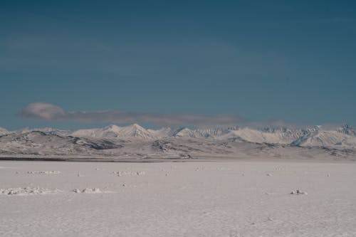 Горы за заснеженным полем зимой