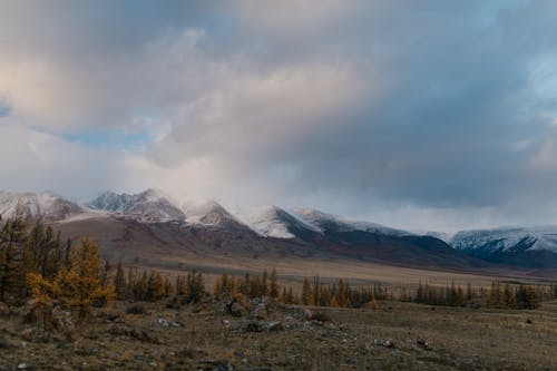 Snowy mountains over slope with plants