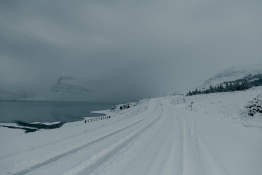 在冰岛宁静的冬季景观中，一条白雪皑皑的道路沿着宁静的峡湾延伸