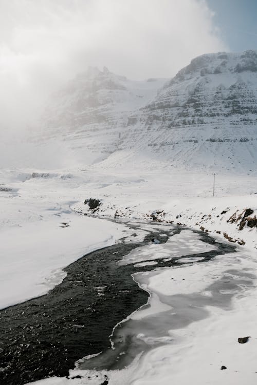 Foto d'estoc gratuïta de boira, boirós, cobert de neu