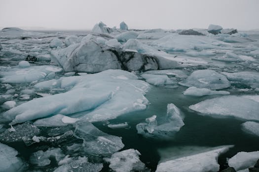 Stunning view of icebergs and glacier landscape in Iceland's winter.