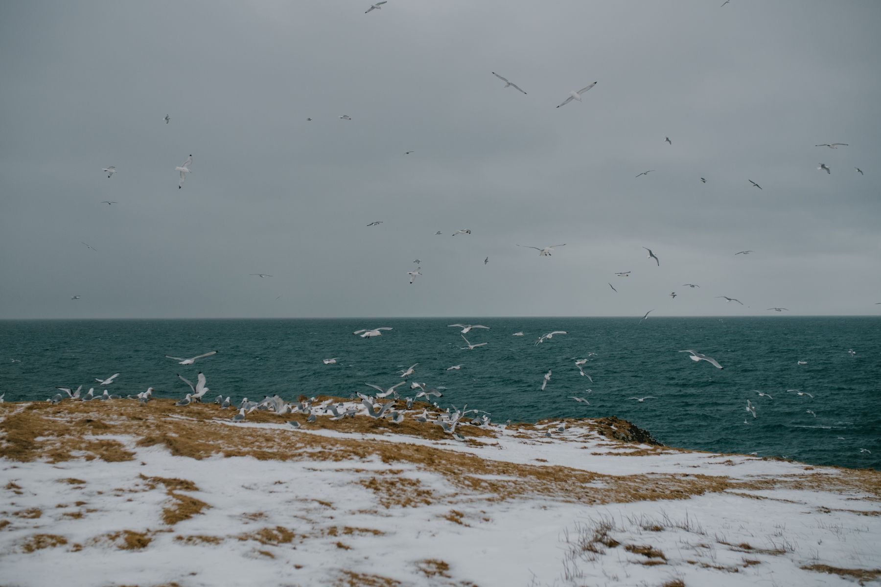 Akranes: A Practical Stop on Iceland's West Coast