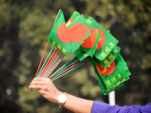 Close-Up Shot of a Person Holding Flags
