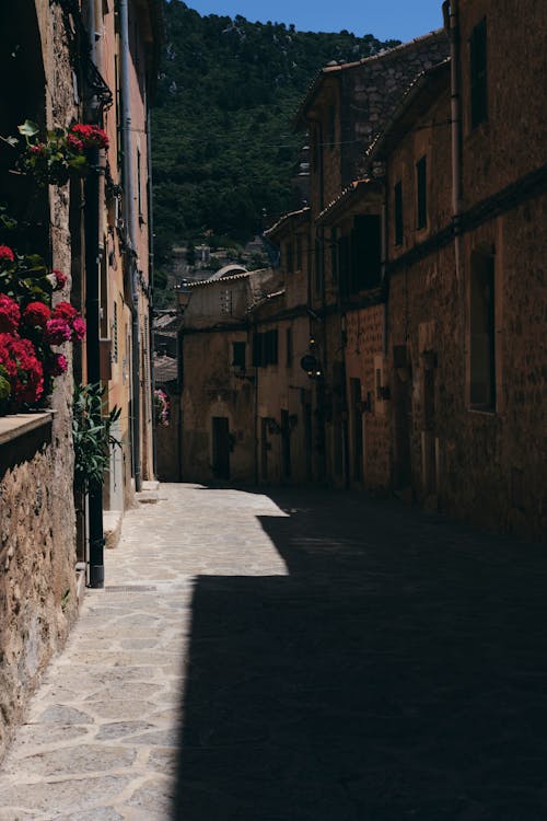 A Narrow Alley between Buildings