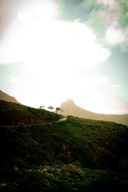 Gratis arkivbilde med bord fjell, Cape Town, gyllen solnedgang