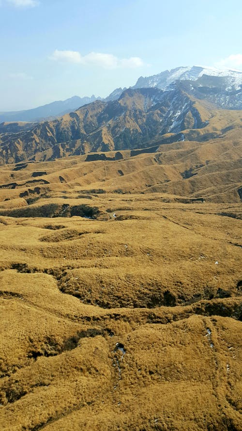 火山, 草原, 雪山 的 免费素材图片