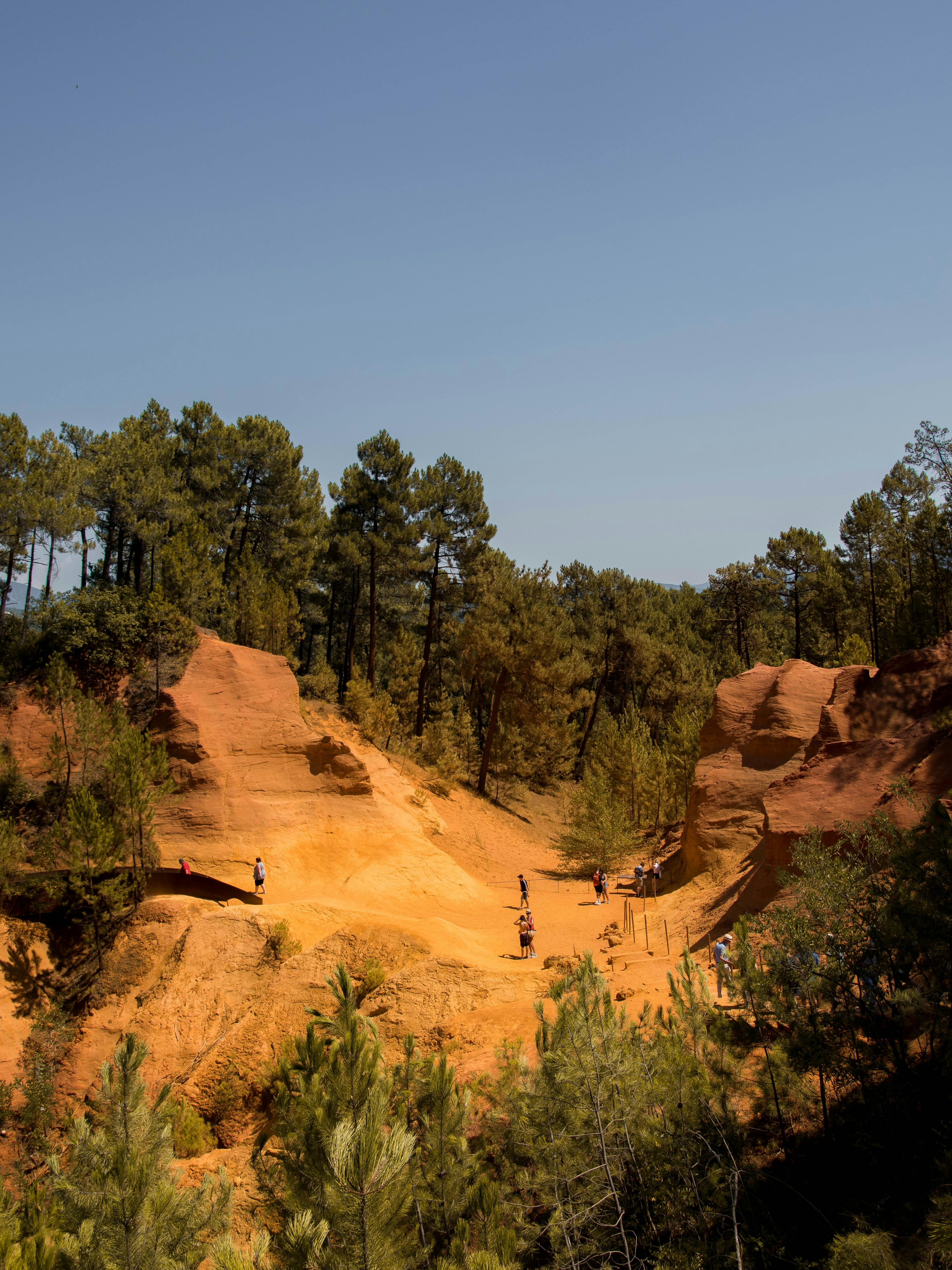 green trees on brown rock formation under blue sky