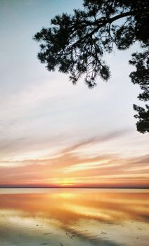Picturesque sunset with tree silhouette over the tranquil waters of a Russian lake.