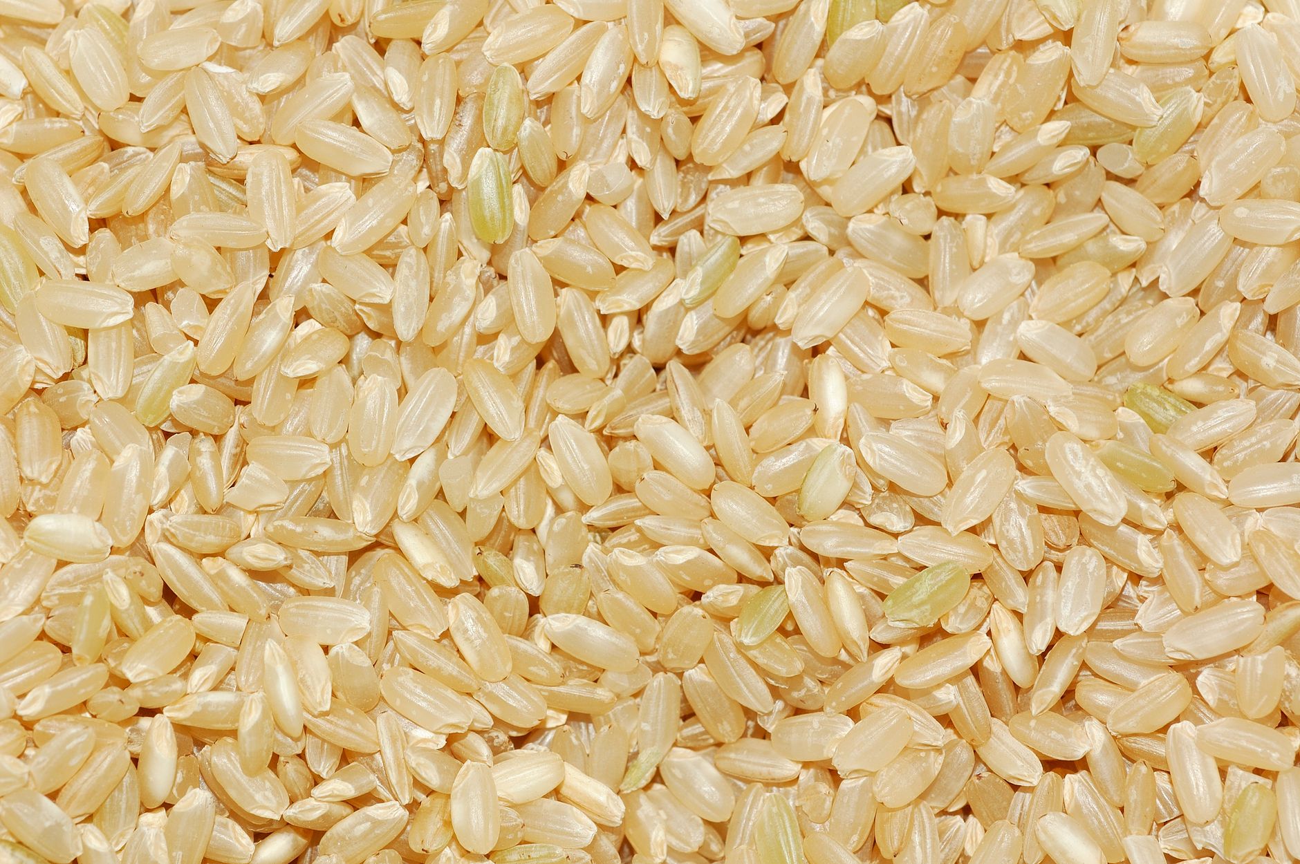 Brown Rice vs. White Rice: Which is Healthier for You?