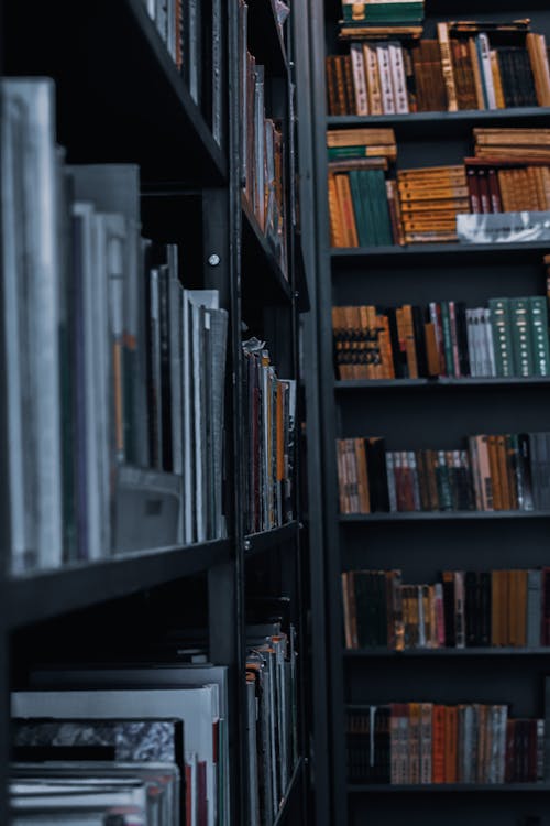Free Interior of library with bookshelves Stock Photo