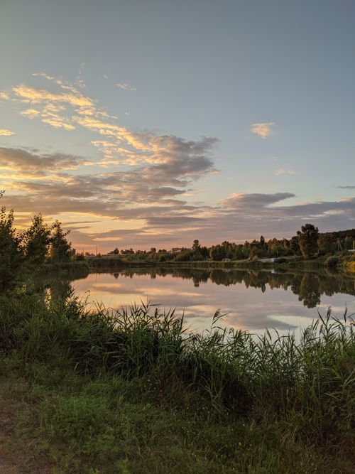 Free Peaceful sunset reflecting on a tranquil lake in Solonytsivka, Ukraine. Stock Photo
