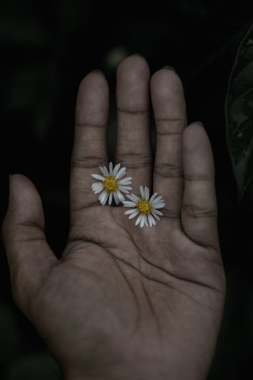 Two Tiny Flowers on a Persons Hand 